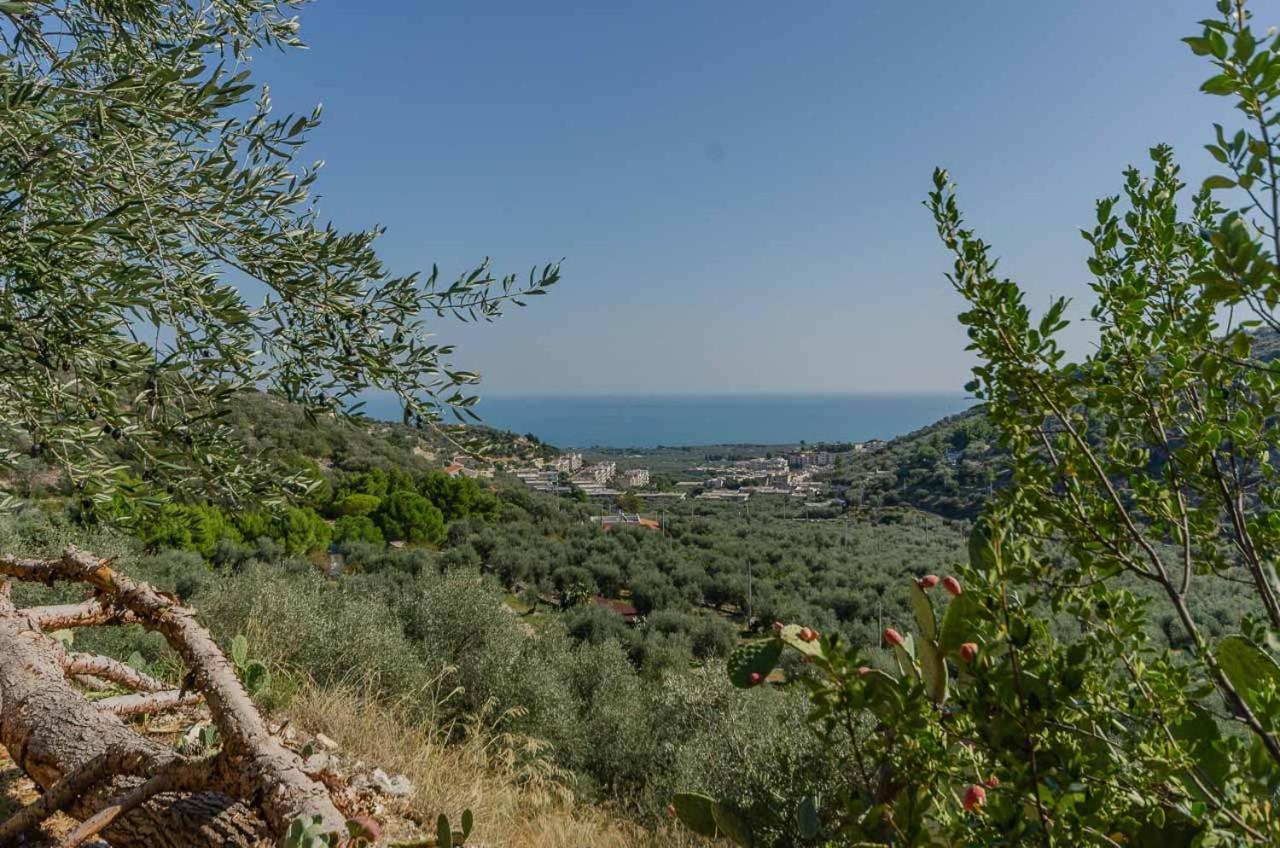 فيلا Agriturismo Madonna Incoronata ماتيناتا المظهر الخارجي الصورة