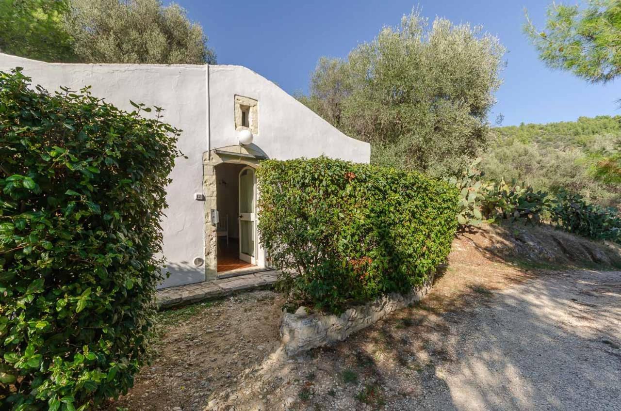 Agriturismo Madonna Incoronata ماتيناتا المظهر الخارجي الصورة