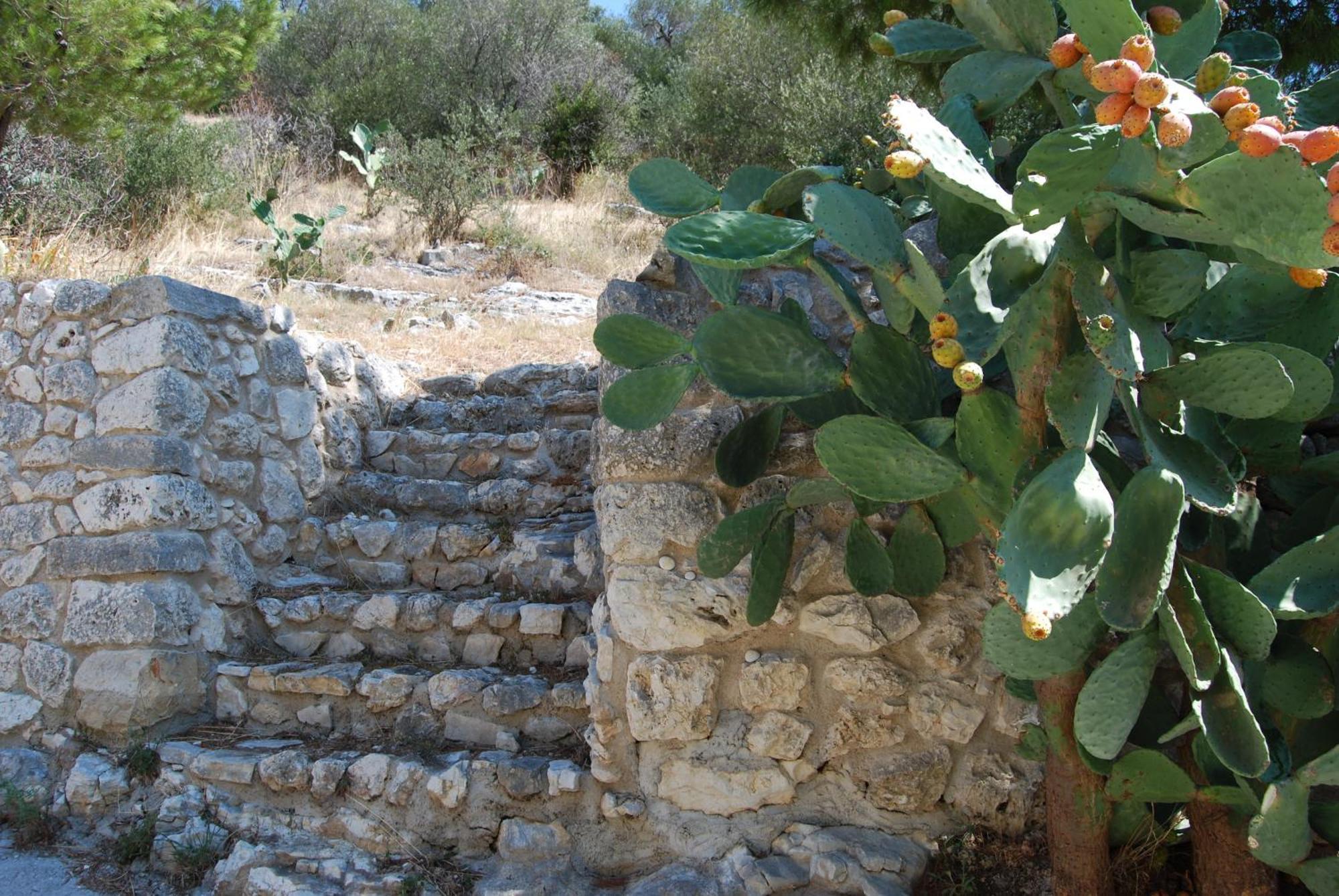 Agriturismo Madonna Incoronata ماتيناتا المظهر الخارجي الصورة
