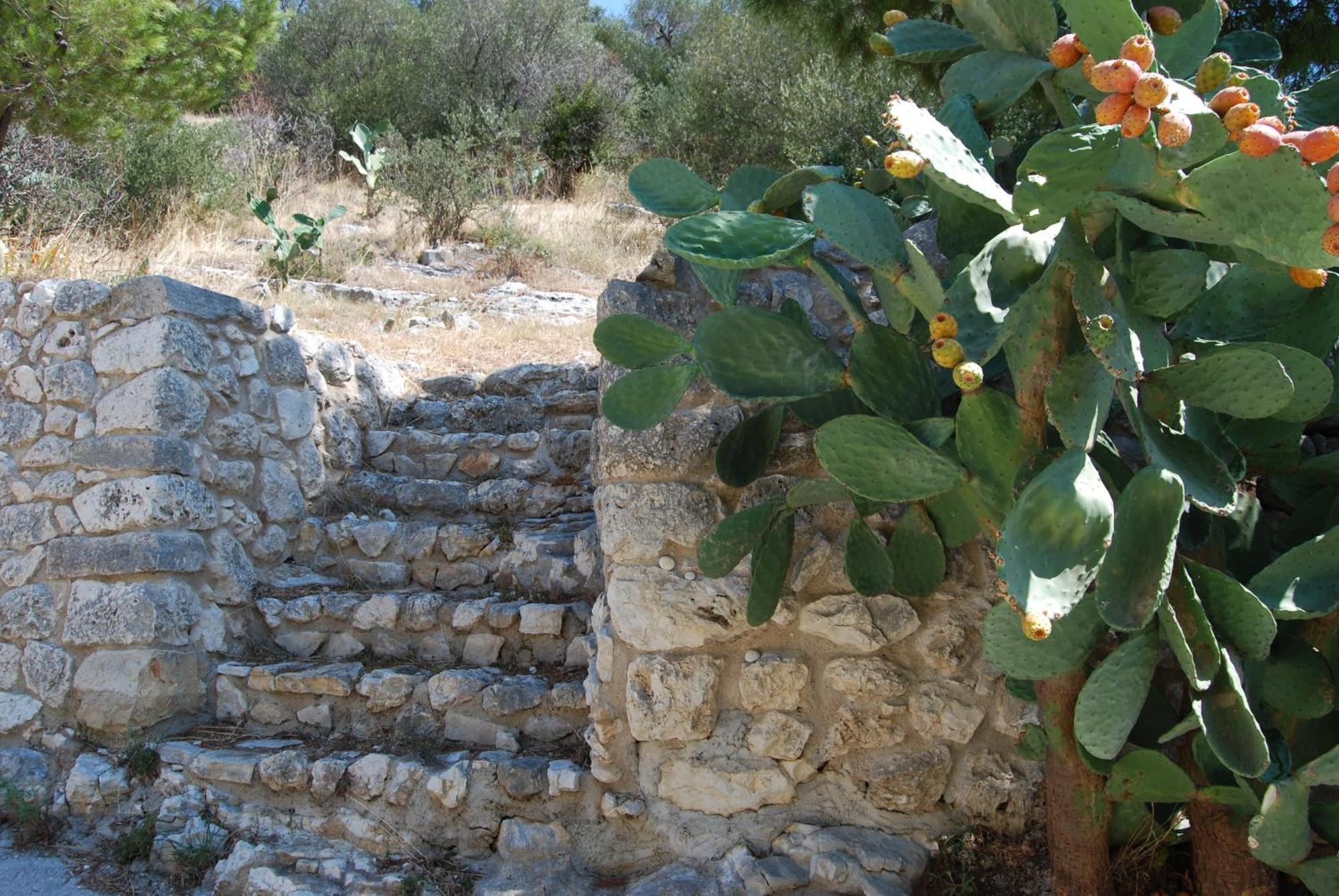 فيلا Agriturismo Madonna Incoronata ماتيناتا المظهر الخارجي الصورة